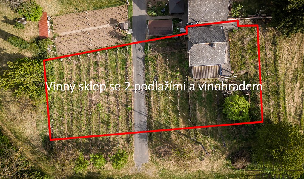 Prodej vinného sklepa s vinohradem ve Skoronicích, sklep + vinohrad Skoronice, Skoronice – náhled fotky 2