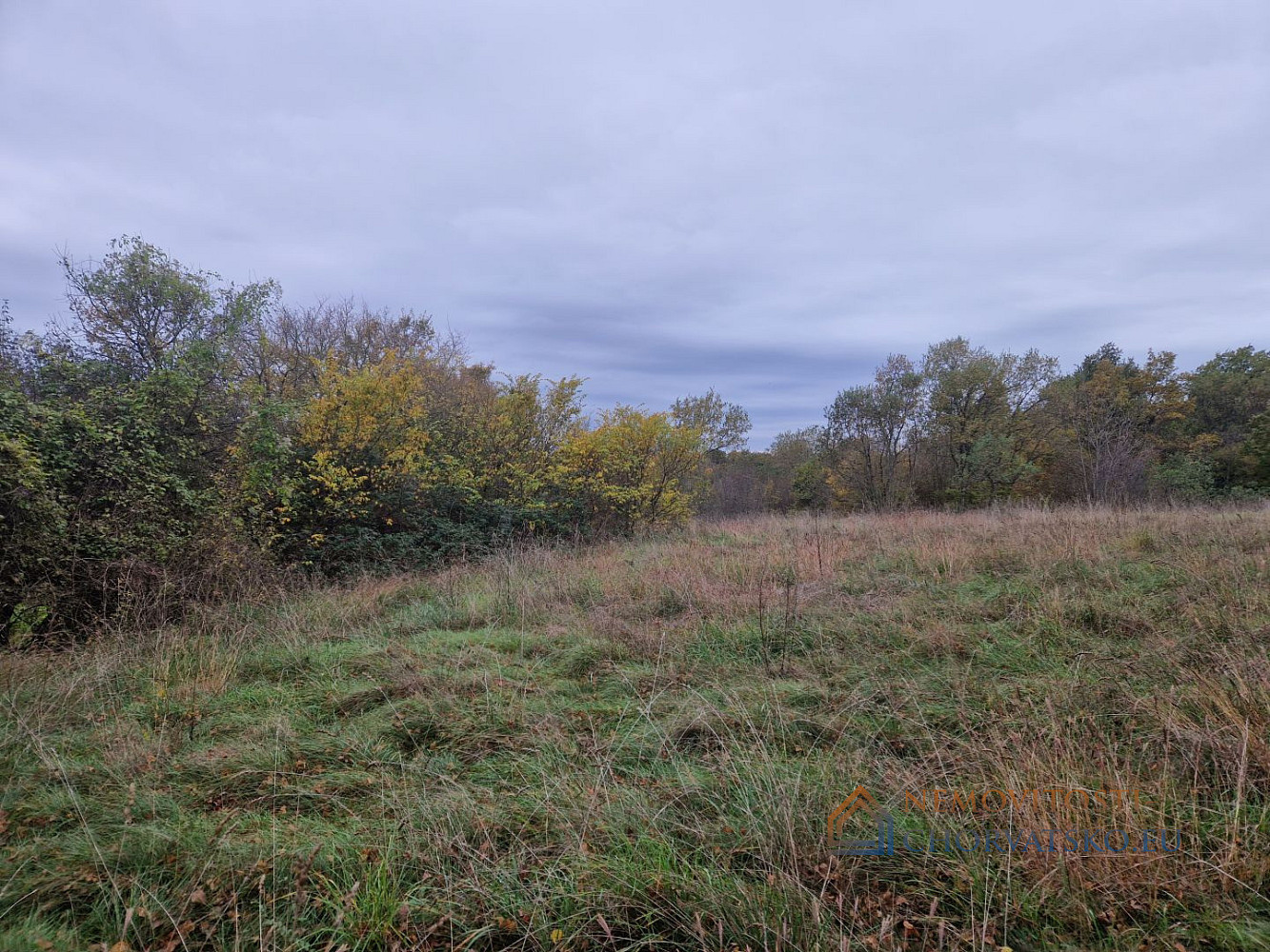 Prodej stavebního pozemku 4 485 m², Barban