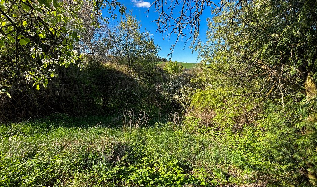 Prodej domu 100 m² s pozemkem 1 264 m², Hluboké Dvory – náhled fotky 33