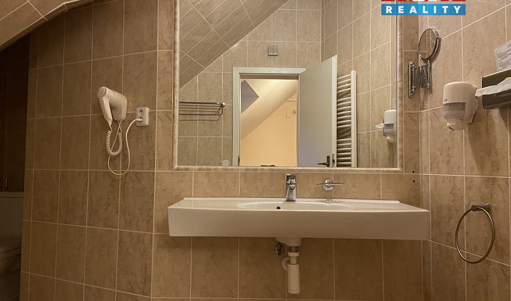 Pronájem bytu 4+kk 110 m², Plzeň – náhled fotky 25