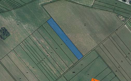 Prodej pole 479 m², Týnec, okres Břeclav