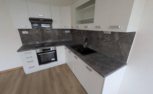 Pronájem bytu 3+1 70 m², Františka Malíka, Most