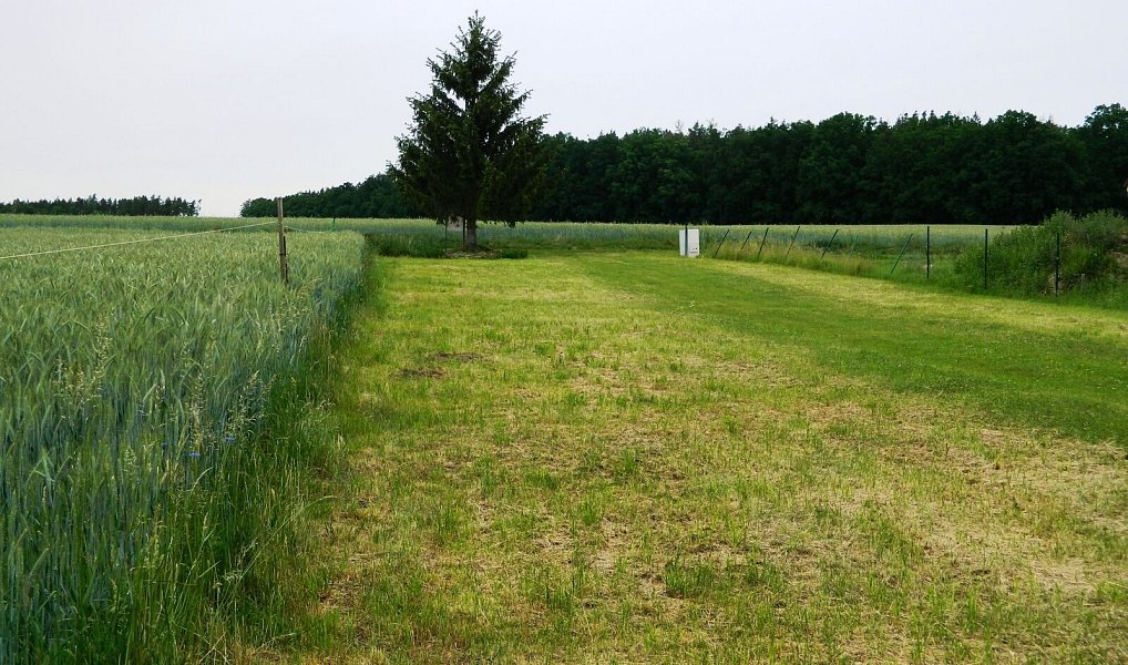 Prodej stavebního pozemku 984 m², Přehořov – náhled fotky 3