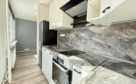 Prodej bytu 1+kk 28 m², K. H. Borovského, Most