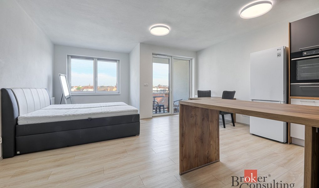 Pronájem bytu 1+kk 36 m², Plzeň – náhled fotky 8