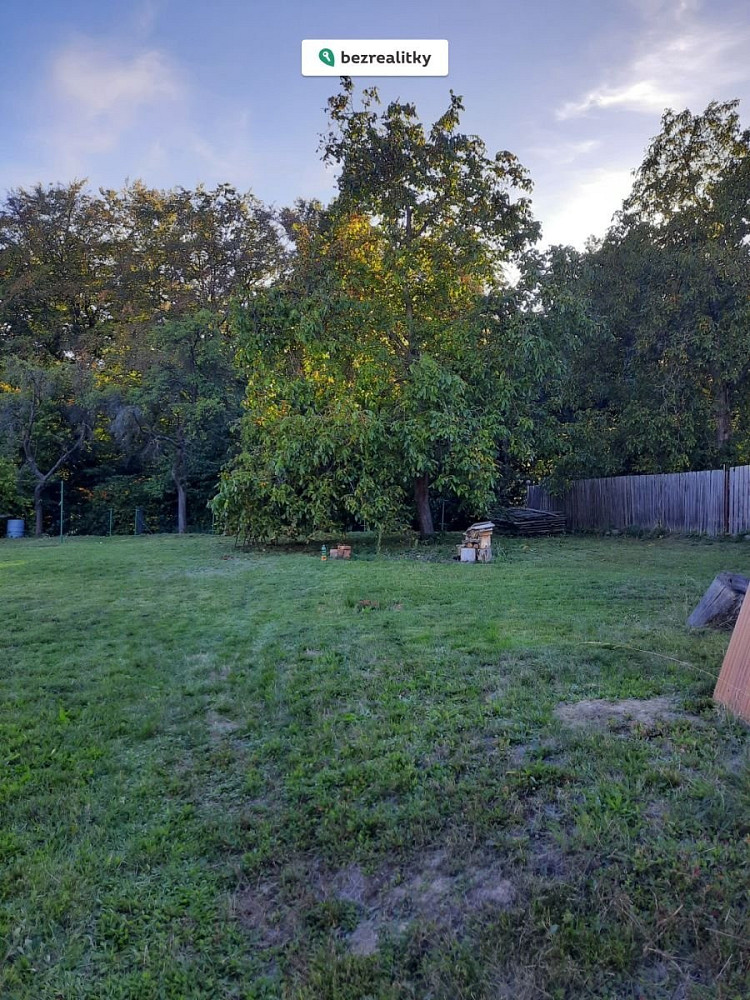 Fotka 12 z 17