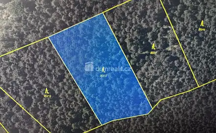 Prodej lesa 4 316 m², Nebahovy - Jelemek, okres Prachatice