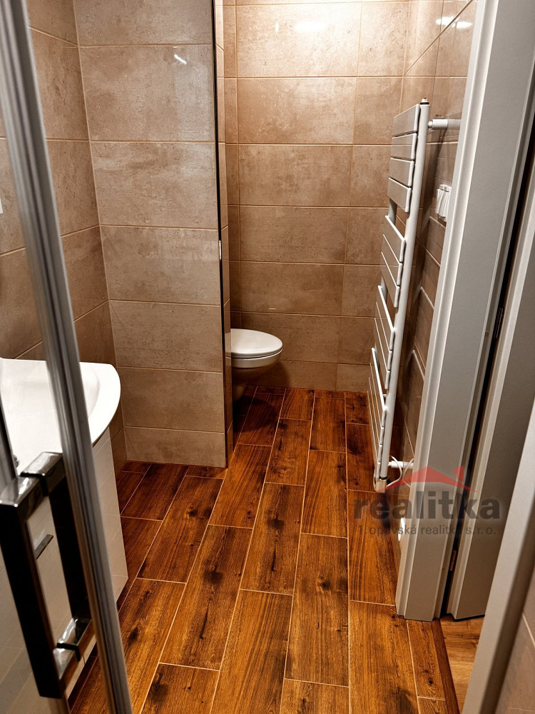 Pronájem bytu 1+1 35 m² – fotografie 5