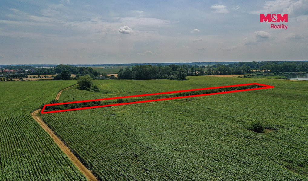 Prodej pole 14 490 m², Zaječí – náhled fotky 10