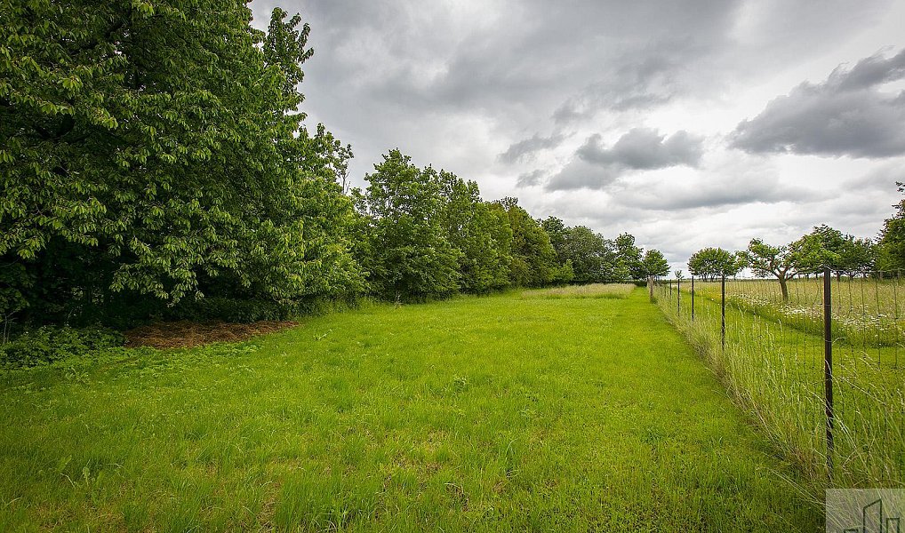 Prodej chaty/chalupy 230 m² s pozemkem 2 972 m², Řepníky – náhled fotky 15