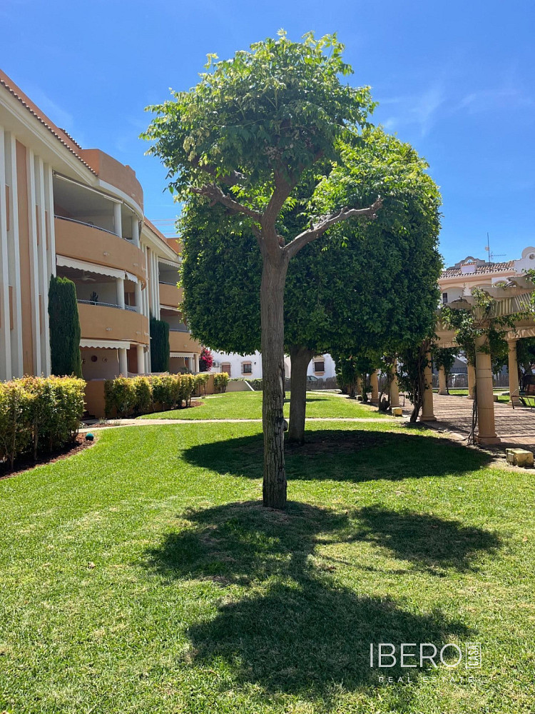 Prodej bytu 3+kk 75 m²