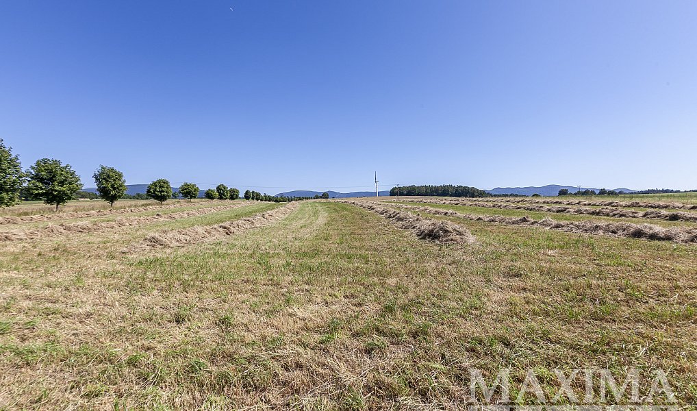 Prodej pole 54 591 m², Krásný Les – náhled fotky 11