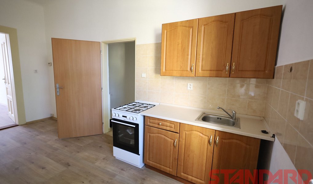 Pronájem bytu 1+1 45 m², Plzeň – náhled fotky 5