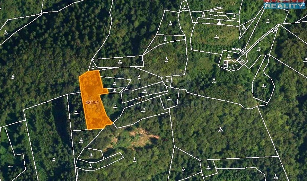 Prodej lesa 5 001 m², Halenkov – náhled fotky 4