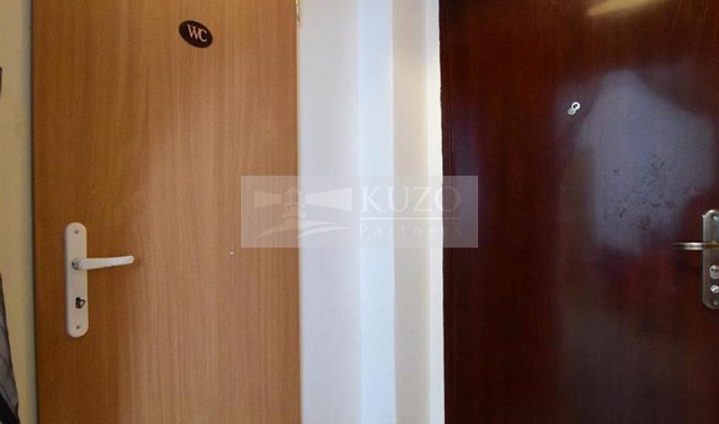 Pronájem bytu 1+1 37 m², Plzeň – náhled fotky 6
