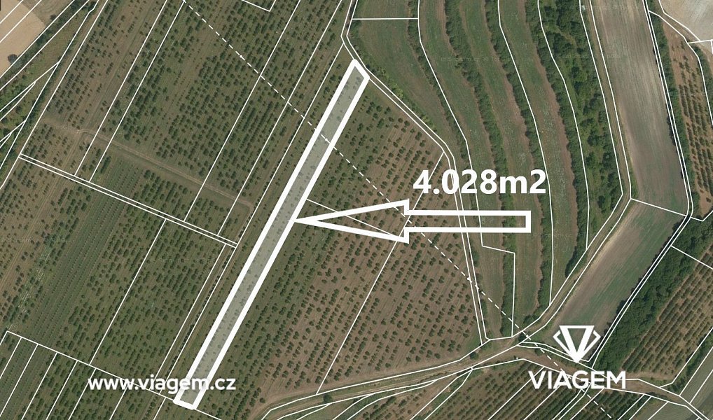 Prodej pole 4 028 m², Kobylí – fotka 1 z 5