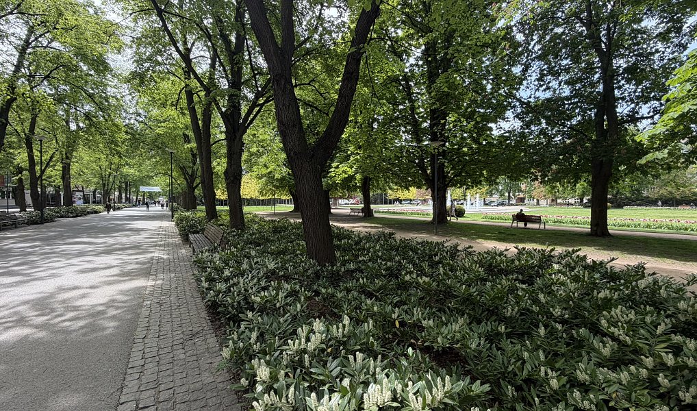 Prodej bytu 1+kk 36 m², Poděbrady – náhled fotky 9