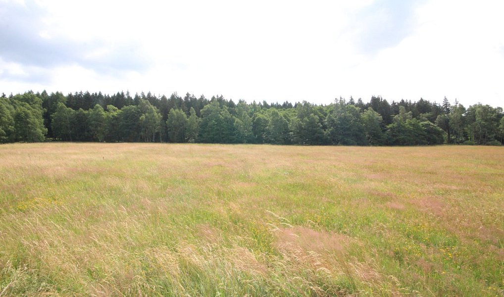 Prodej stavebního pozemku 5 140 m², Frýdlant – náhled fotky 20
