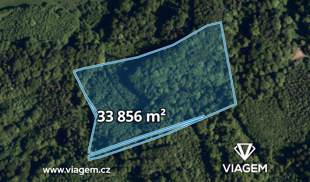 Prodej lesa 5 078 m², Životice u Nového Jičína – fotka 1 z 5