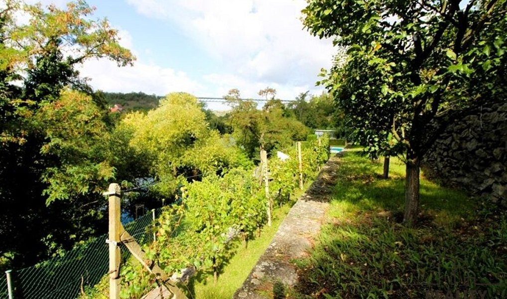 Prodej zahrady 1 116 m², Znojmo – náhled fotky 10