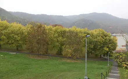 Prodej pozemku 450 m², Ústí nad Labem - Mojžíř