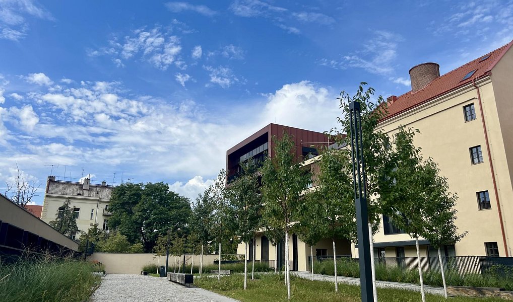 Pronájem bytu 1+kk 27 m², Praha – náhled fotky 13