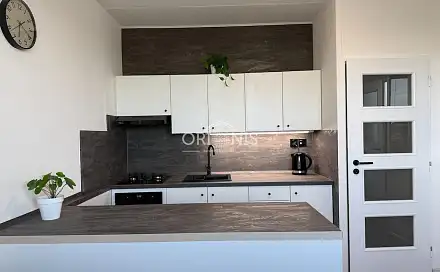 Prodej bytu 1+1 40 m²