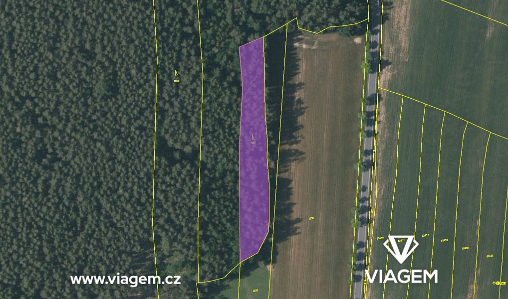 Prodej lesa 1 820 m², Manětín – náhled fotky 4