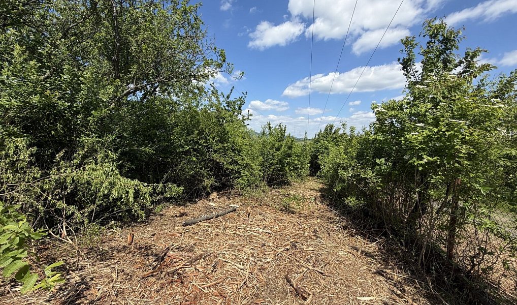 Pronájem zahrady 851 m², Lipník nad Bečvou – náhled fotky 5