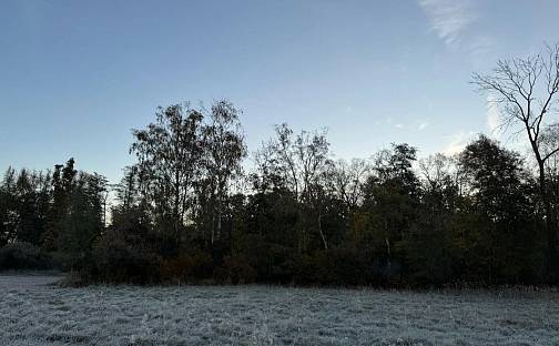 Prodej lesa 1 080 m², Hořiněves, okres Hradec Králové