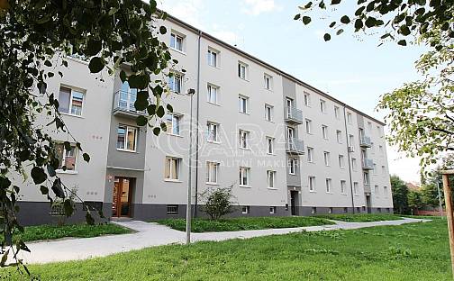 Pronájem bytu 2+1 54 m², Zelenečská, Praha 9 - Hloubětín