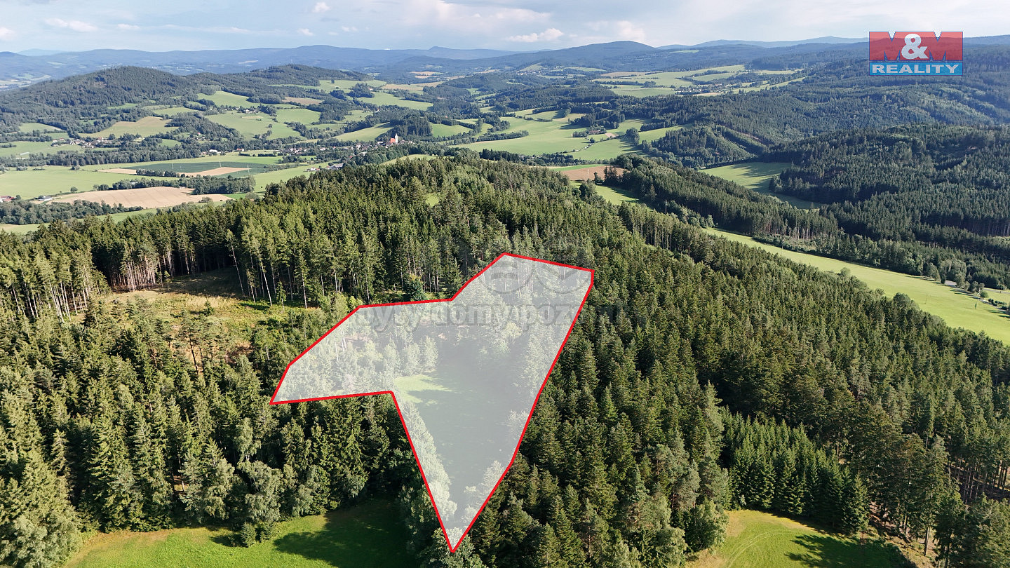 Prodej lesa 15 707 m²