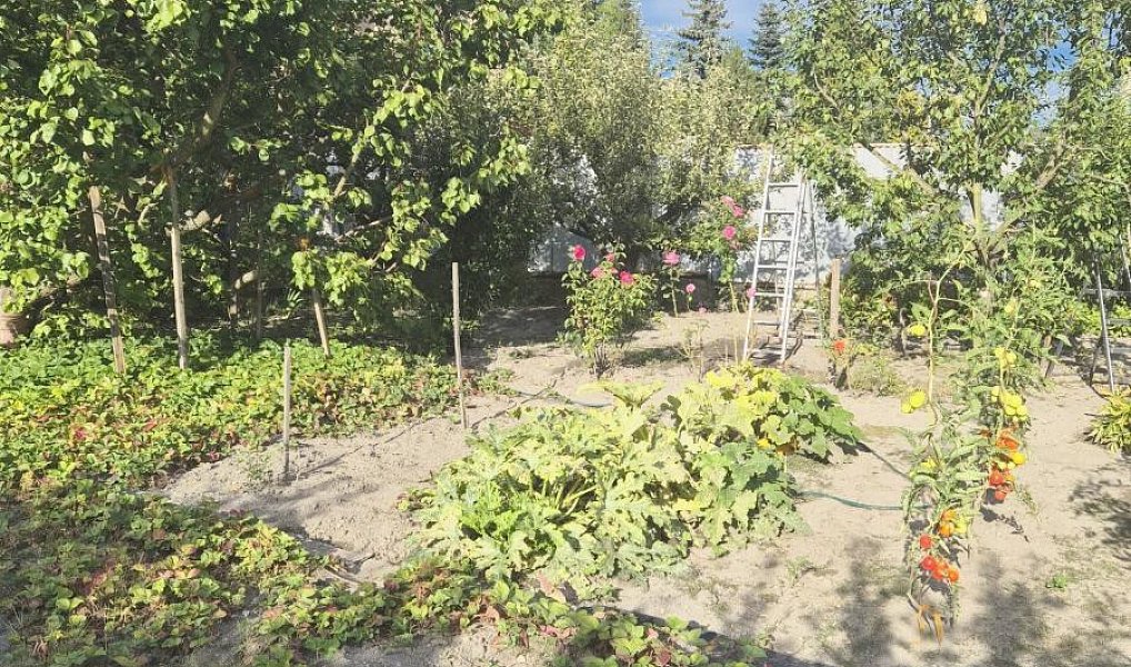 Prodej chaty/chalupy 20 m² s pozemkem 387 m², Kladno – náhled fotky 5