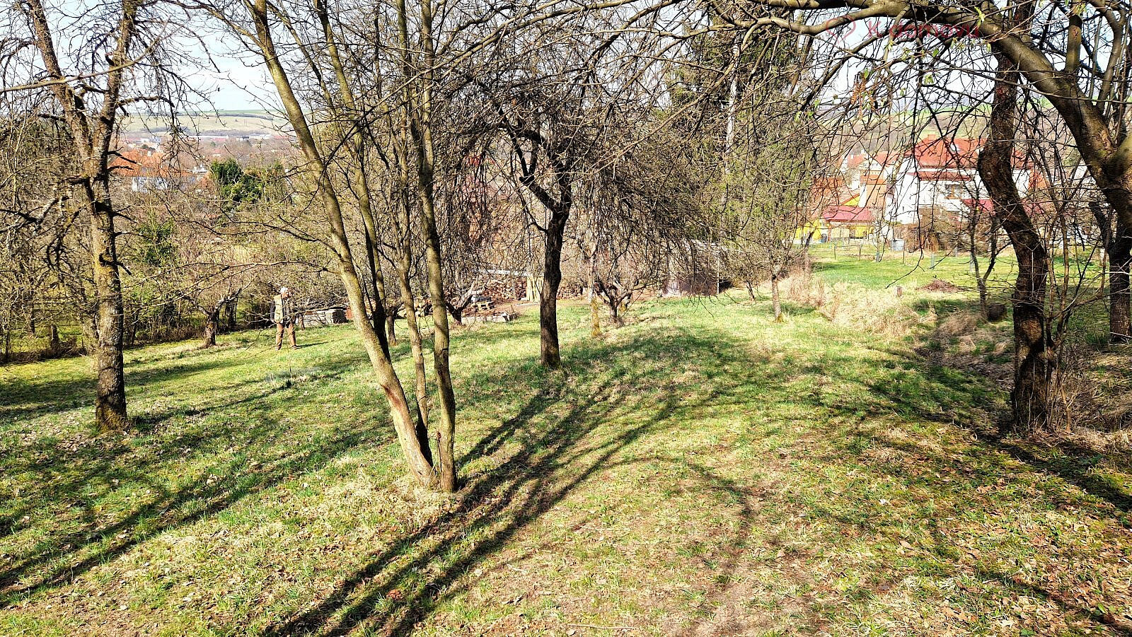 Fotka 9 z 12