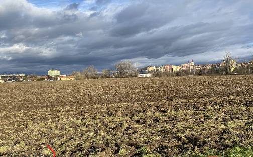 Prodej pole 122 418 m², Žatec, okres Louny