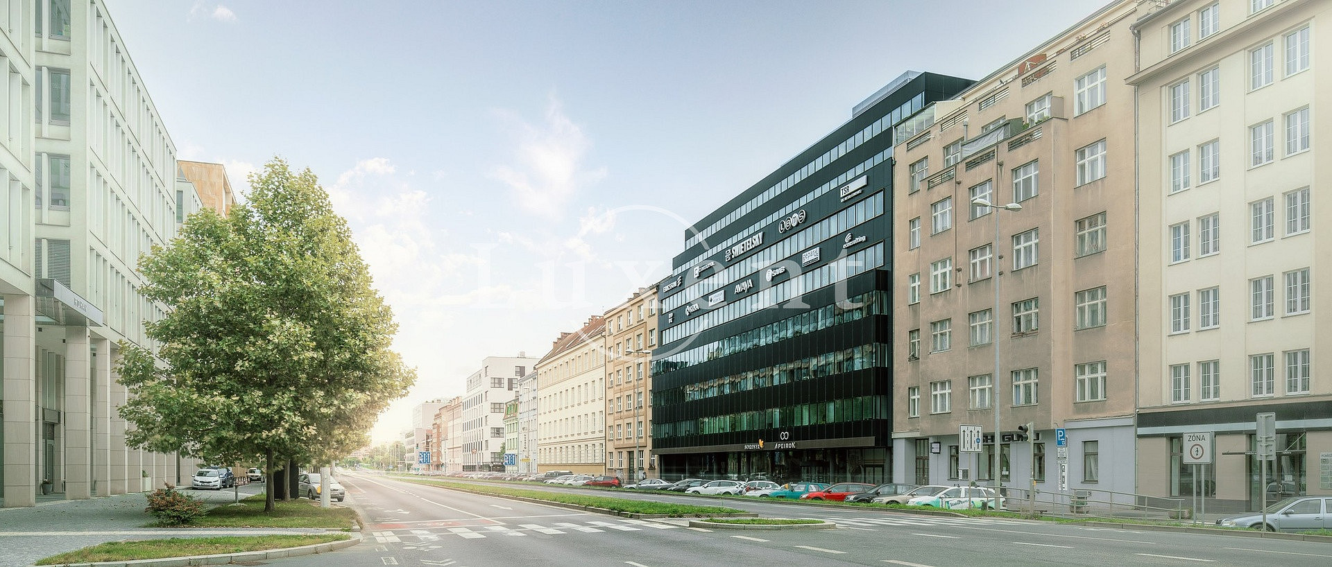 Pronájem kanceláře 635 m² – fotografie 5