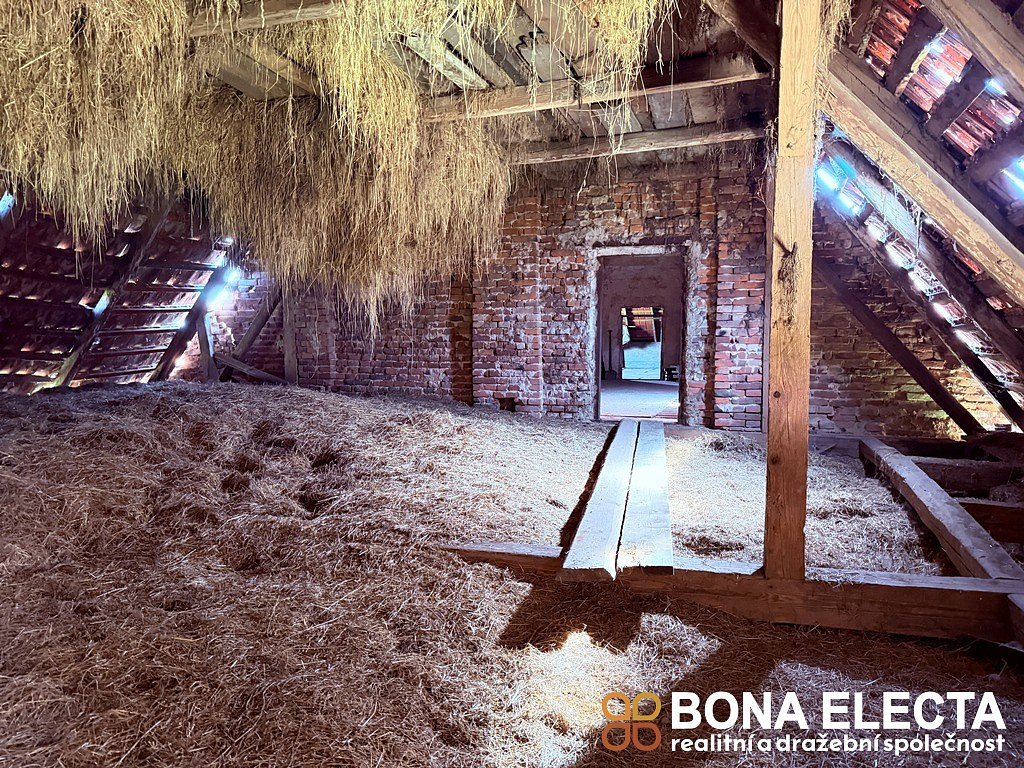 Fotka 20 z 30