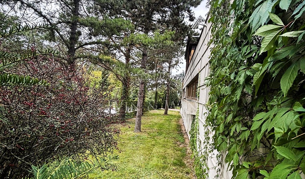 Prodej domu 477 m² s pozemkem 1 644 m², Vrané nad Vltavou – náhled fotky 9
