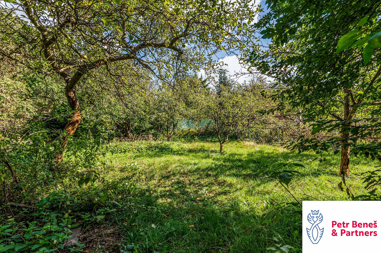 Prodej domu 135 m² s pozemkem 1 110 m² – fotografie 3