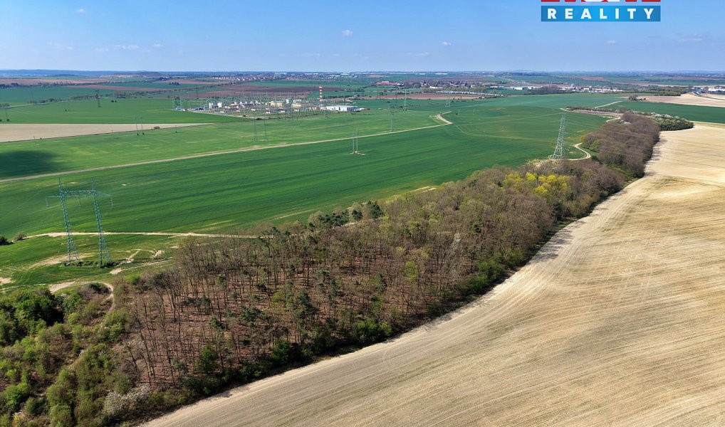 Prodej lesa 4 629 m², Mochov – náhled fotky 5