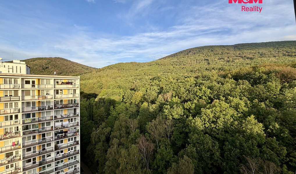 Prodej bytu 2+1 57 m², Osek – náhled fotky 11