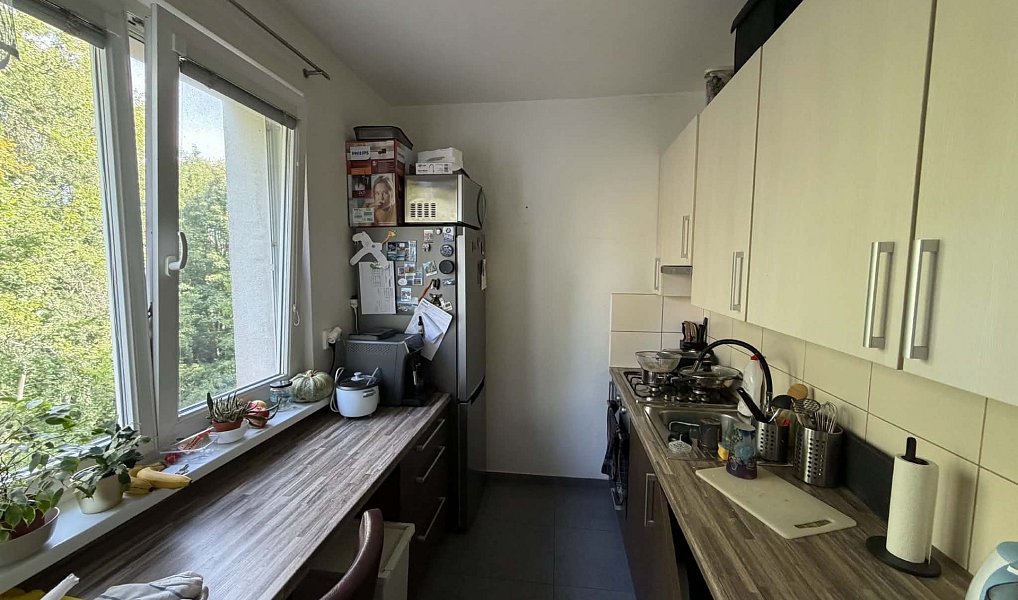 Pronájem bytu 3+1 64 m², Olomouc – náhled fotky 5