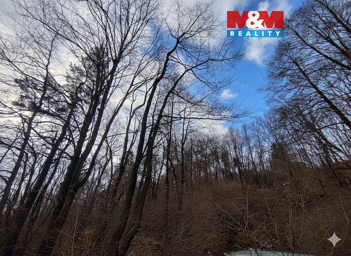Prodej lesa 87 259 m²