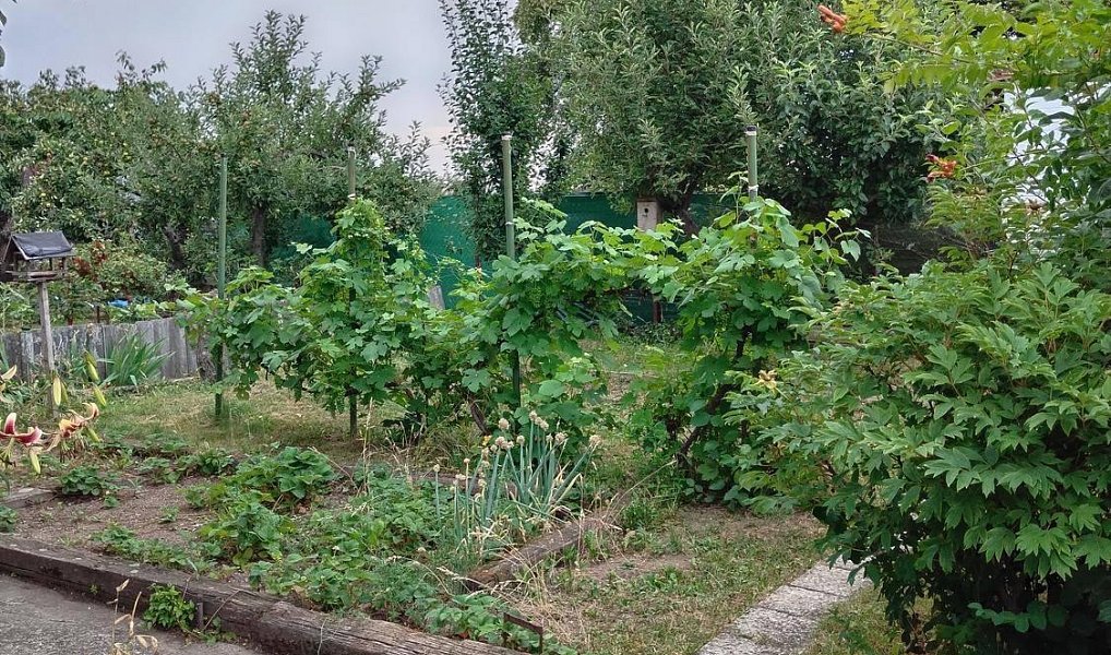 Prodej domu 20 m² s pozemkem 180 m², Kladno – náhled fotky 10