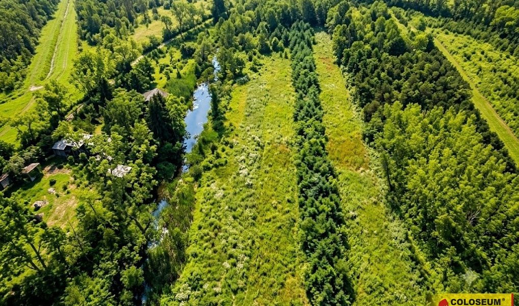 Prodej pole 5 202 m², Znojmo – náhled fotky 2