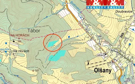 Prodej lesa 8 828 m², Olšany, okres Šumperk