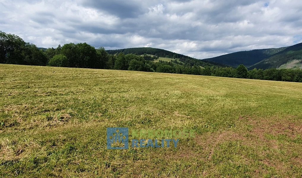 Prodej pozemku 4 617 m², Černý Důl – náhled fotky 2
