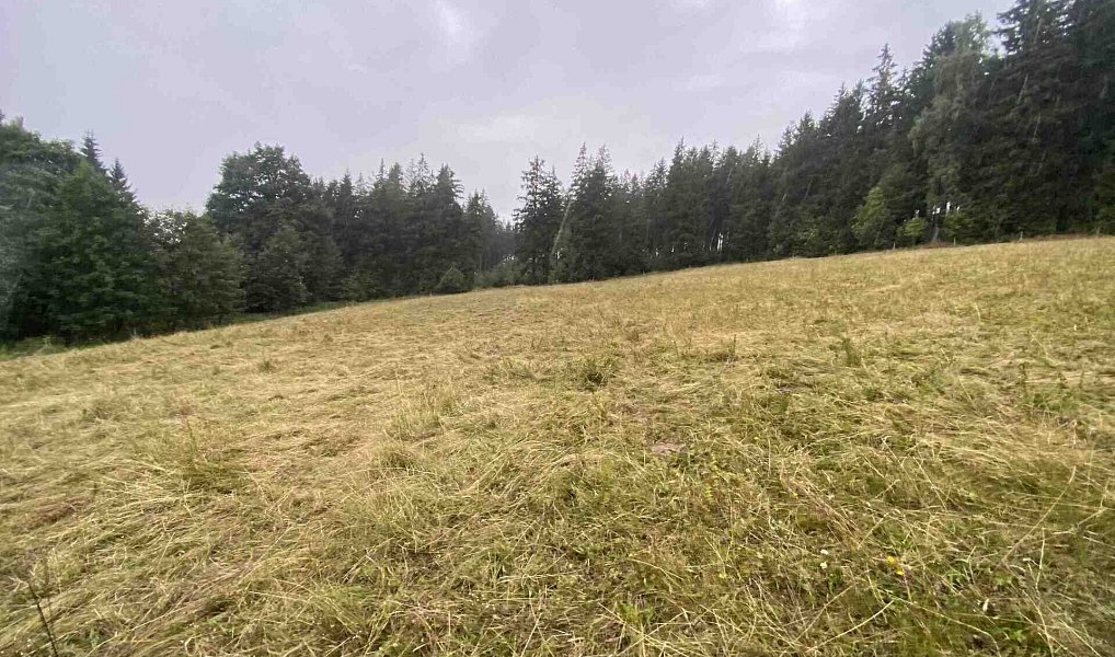 Prodej pozemku 1 842 m², Králíky – náhled fotky 2