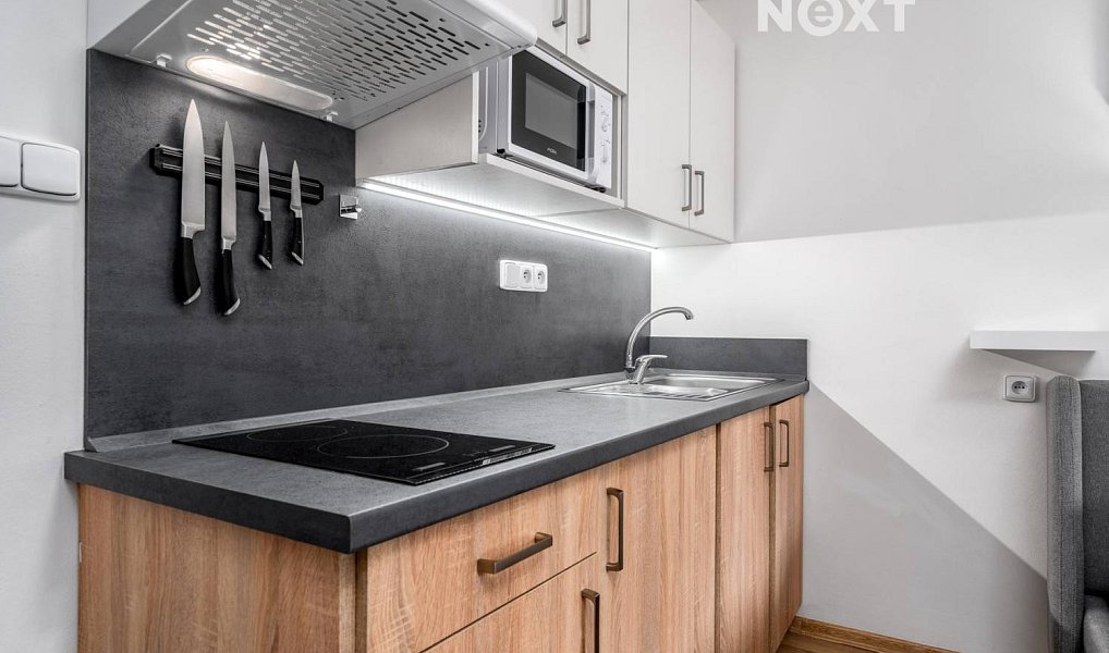 Prodej bytu 1+kk 20 m², Rokytnice nad Jizerou – náhled fotky 3