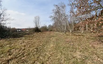 Prodej stavebního pozemku 6 184 m², Dubí - Drahůnky, okres Teplice